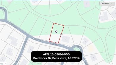 Owner Financing available. Sewer lot + Survey. Contact your - photo 1