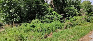 Owner Financing available. Sewer lot + Survey. Contact your - photo 2