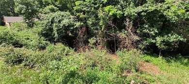 Owner Financing available. Sewer lot + Survey. Contact your - photo 3