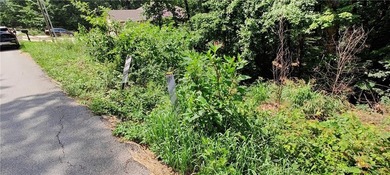 Owner Financing available. Sewer lot + Survey. Contact your - photo 4