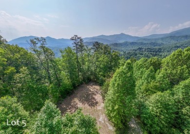Fontana Lake Lot For Sale in Almond North Carolina