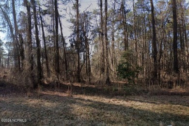 Lake Surf Lot For Sale in Vass North Carolina