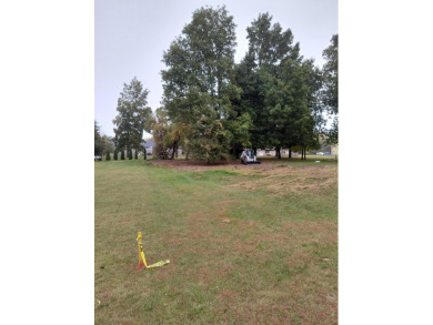 Lake Lot For Sale in Brooklyn, Michigan