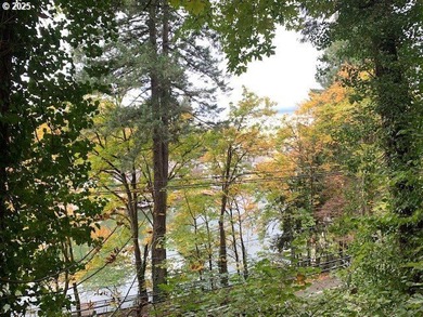 Lake Oswego Lot For Sale in Lakeoswego Oregon