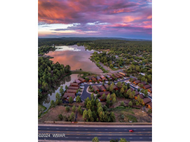 Lake Commercial For Sale in Lakeside, Arizona