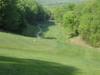 Build Your Dream Home On This Fabulous .91 Acre Lot 4 in The - photo 6