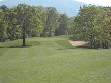 Build Your Dream Home On This Fabulous .91 Acre Lot 4 in The - photo 7