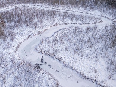 Sale includes two parcels of land totaling 35 acres. HA-385 is - photo 14