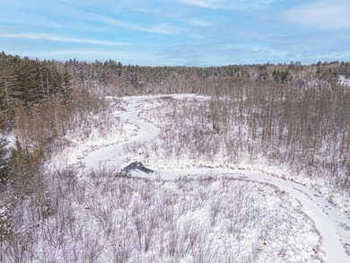 Sale includes two parcels of land totaling 35 acres. HA-385 is - photo 15