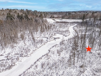 Sale includes two parcels of land totaling 35 acres. HA-385 is - photo 17