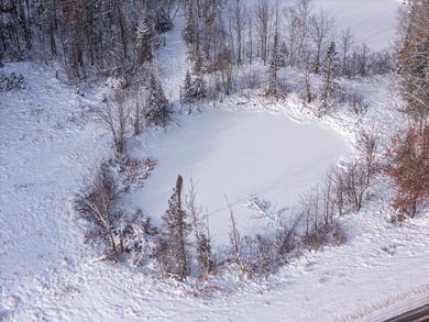 Sale includes two parcels of land totaling 35 acres. HA-385 is - photo 18