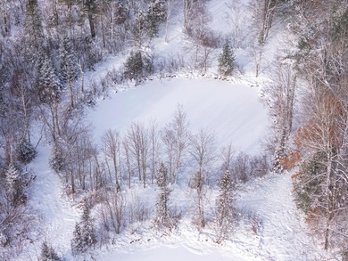 Sale includes two parcels of land totaling 35 acres. HA-385 is - photo 19