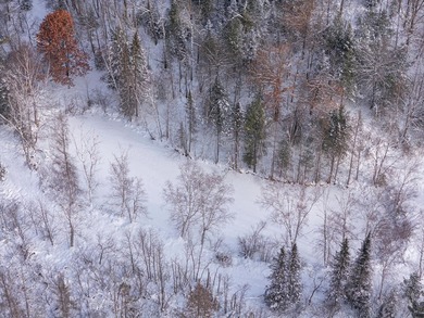 Sale includes two parcels of land totaling 35 acres. HA-385 is - photo 21