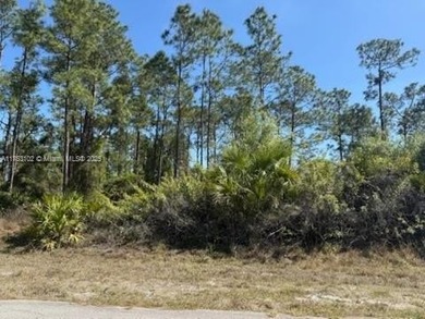 Lehigh Acres Area Lot Sale Pending in Lehigh Acres Florida