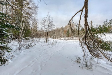 Sale includes two parcels of land totaling 35 acres. HA-385 is - photo 28