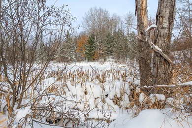 Sale includes two parcels of land totaling 35 acres. HA-385 is - photo 29