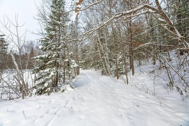 Sale includes two parcels of land totaling 35 acres. HA-385 is - photo 30
