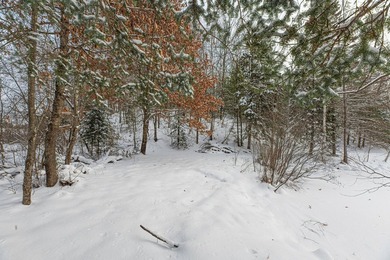 Sale includes two parcels of land totaling 35 acres. HA-385 is - photo 31