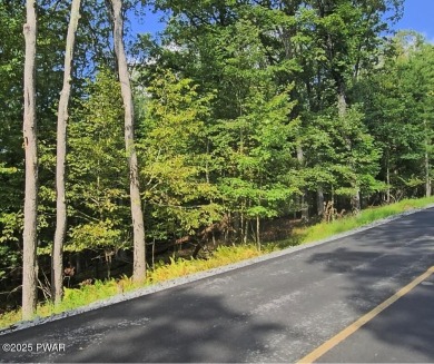 This 2.34-acre lot offers wooded privacy on a quiet township - Lake Acreage For Sale in Hawley, Pennsylvania