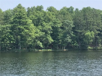 Spider Lake - Sawyer County Lot For Sale in Hayward Wisconsin