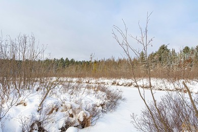 Sale includes two parcels of land totaling 35 acres. HA-385 is - photo 33