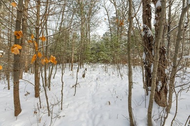 Sale includes two parcels of land totaling 35 acres. HA-385 is - photo 36