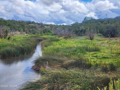 Lake Lot Sale Pending in Show Low, Arizona