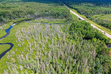 Sale includes two parcels of land totaling 35 acres. HA-385 is - photo 42