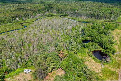 Sale includes two parcels of land totaling 35 acres. HA-385 is - photo 43