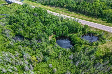 Sale includes two parcels of land totaling 35 acres. HA-385 is - photo 44