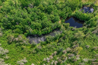 Sale includes two parcels of land totaling 35 acres. HA-385 is - photo 45