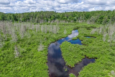 Sale includes two parcels of land totaling 35 acres. HA-385 is - photo 46