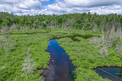 Sale includes two parcels of land totaling 35 acres. HA-385 is - photo 47