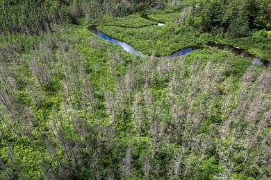 Sale includes two parcels of land totaling 35 acres. HA-385 is - photo 48