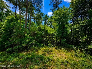 8.2 acres with frontage on Hwy 57 and Breland Road in Benndale - photo 3