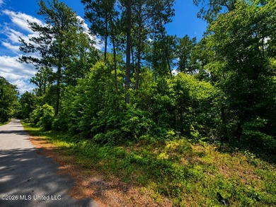 8.2 acres with frontage on Hwy 57 and Breland Road in Benndale - photo 4