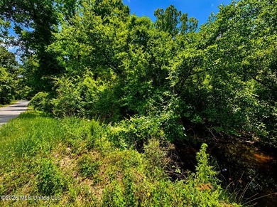 8.2 acres with frontage on Hwy 57 and Breland Road in Benndale - photo 5