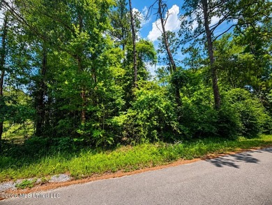 8.2 acres with frontage on Hwy 57 and Breland Road in Benndale - photo 6