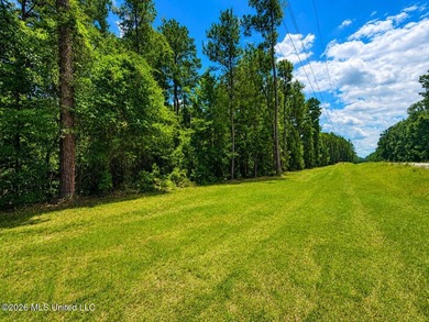 8.2 acres with frontage on Hwy 57 and Breland Road in Benndale - photo 7