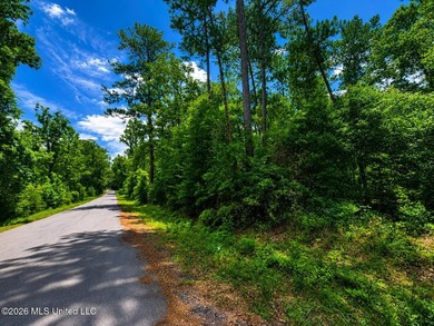 8.2 acres with frontage on Hwy 57 and Breland Road in Benndale - photo 8