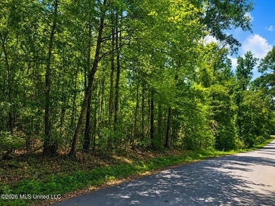 8.2 acres with frontage on Hwy 57 and Breland Road in Benndale - photo 9