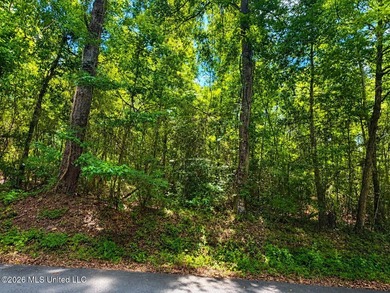 8.2 acres with frontage on Hwy 57 and Breland Road in Benndale - photo 10