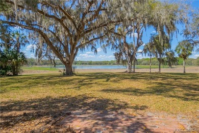 Absolutely breathtaking 4.7-acre waterfront property nestled - photo 6