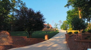 Aggressivley priced once-in-a-lifetime opportunity to own a true - photo 9