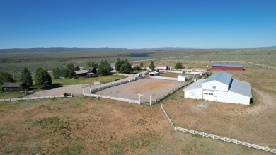 Lake Home For Sale in Bellevue, Idaho