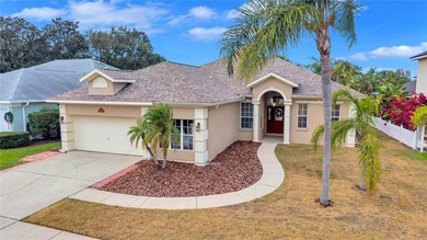 Lake Home For Sale in Tarpon Springs, Florida