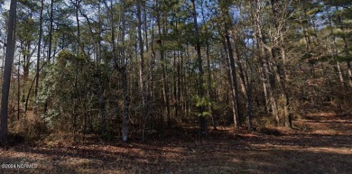 Lake Lot For Sale in Vass, North Carolina