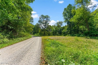 Ohio River Acreage For Sale in Wellsville Ohio