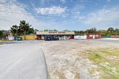 Prime commercial buildings in Homosassa, FL, featuring a total - photo 1