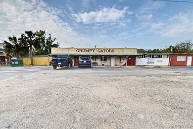Prime commercial buildings in Homosassa, FL, featuring a total - photo 6